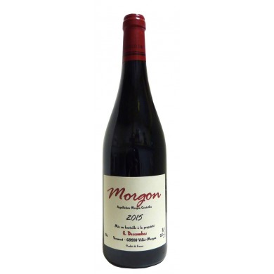 Domaine Georges Descombes - Morgon - 2018