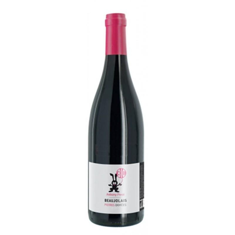 Domaine Pérol les Pierres dorées - Beaujolais - Bien élevé 2023