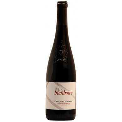Chateau de Villeneuve - Saumur-Champigny - Clos de Bien Boire rouge 2020