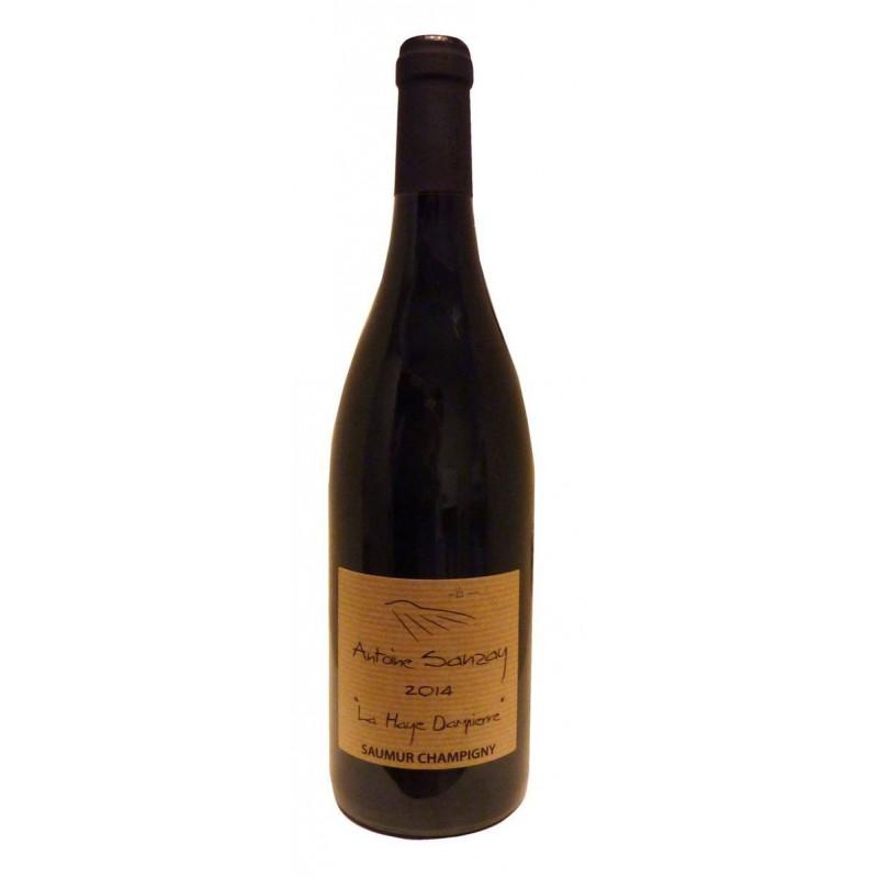 Domaine Antoine Sanzay -  Saumur-Champigny - Haye Dampierre 2020