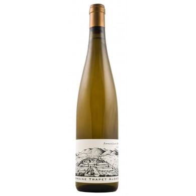 Domaine Trapet - Alsace - Gewurztraminer Sonneglanz 2013