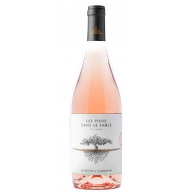 Domaine de la pointe - IGP Landes - Les Pieds dans le Sable rosé 2025