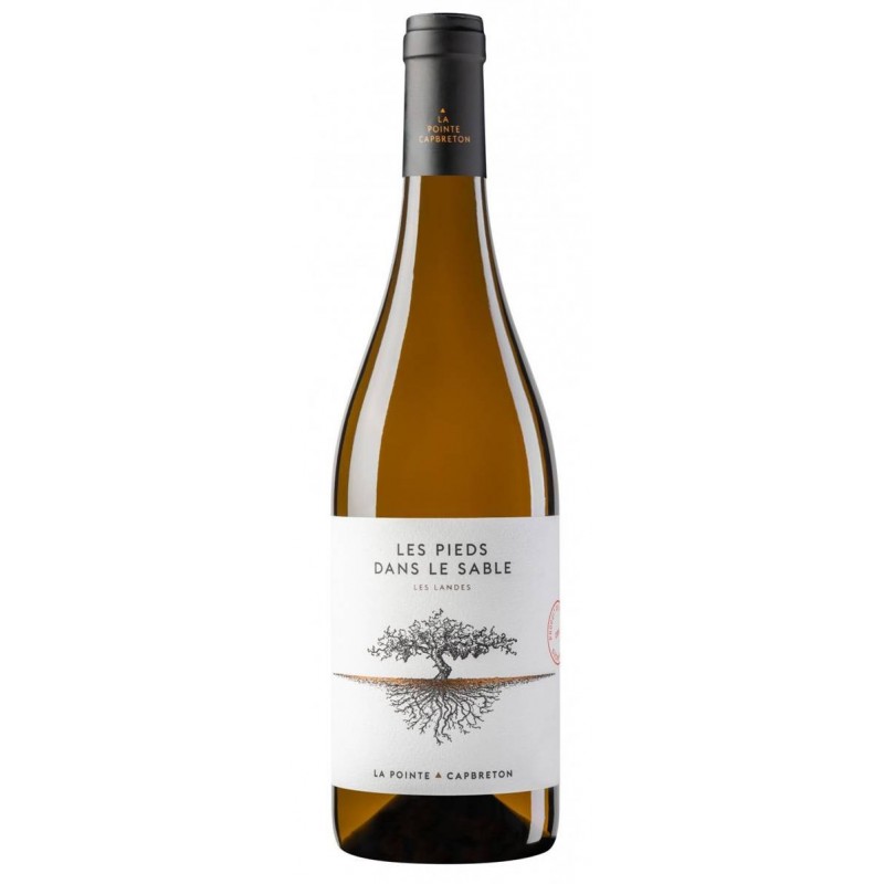 Domaine de la pointe - IGP Landes - Les Pieds dans le Sable white 2023