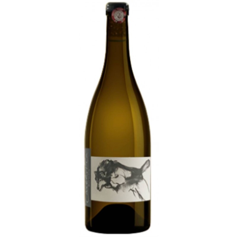 Domaine Pattes Loup -  Chablis - 1er cru les Butteaux Mise Tardive 2020