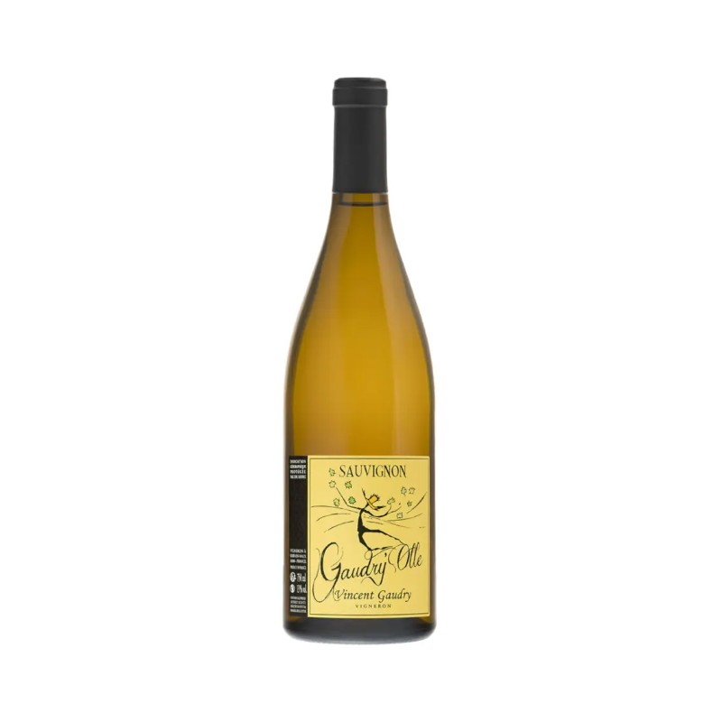 Domaine Vincent Gaudry - IGP Loire - Gaudry'olle 2023