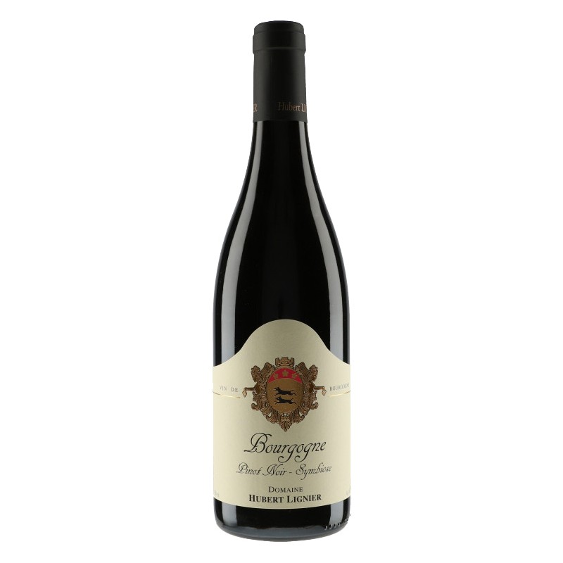 Domaine Lignier - Burgundy - Symbiose 2022