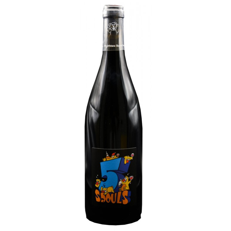 Domaine du Coulet - Vin de France - Cinq Saouls 2024