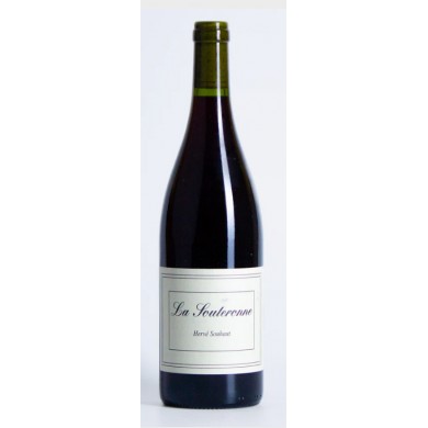 Domaine Hervé Souhaut - Vin de France - Souteronne 2024