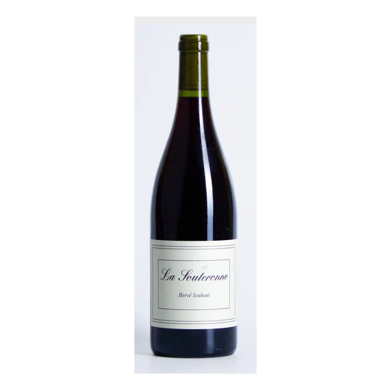 Domaine Hervé Souhaut - Vin de France - Souteronne 2024