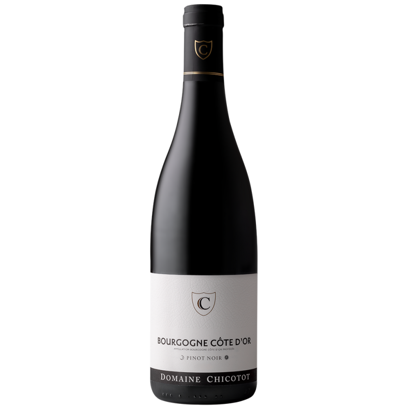 Domaine Georges Chicotot - Burgundy - Pinot Noir 2023