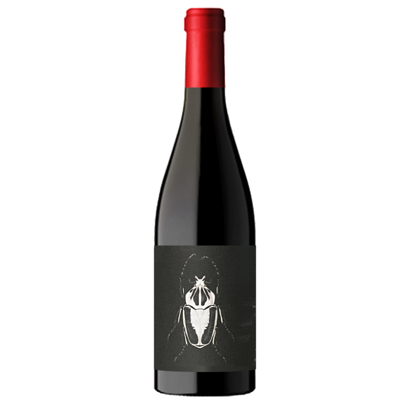 Domaine Ledogar -  Corbières - La compagnon 2022