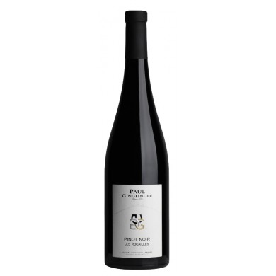 Domaine Paul Ginglinger -  Alsace - Pinot noir Rocailles 2023