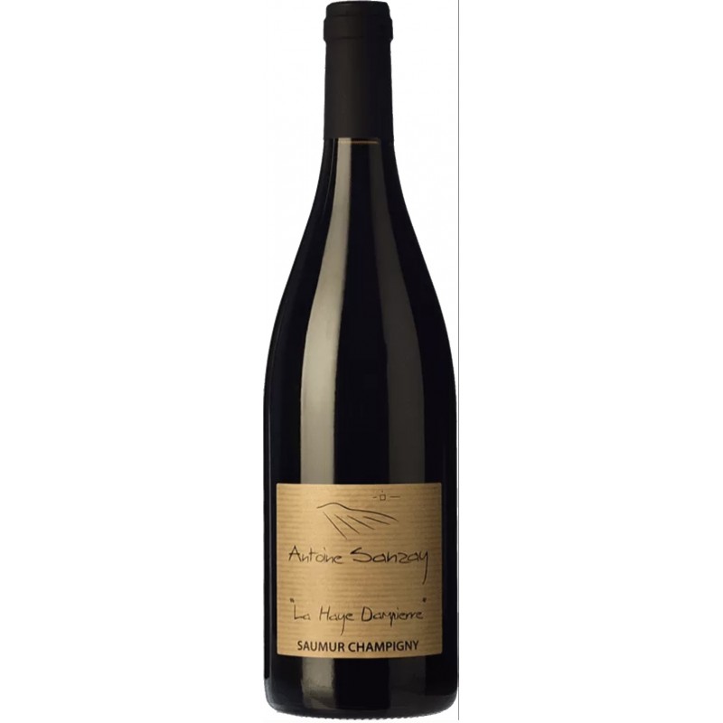 Domaine Antoine Sanzay -  Saumur-Champigny - Haye Dampierre 2022