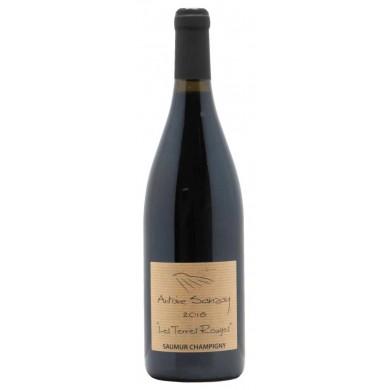 Domaine Antoine Sanzay -  Saumur-Champigny - Terre rouges 2020