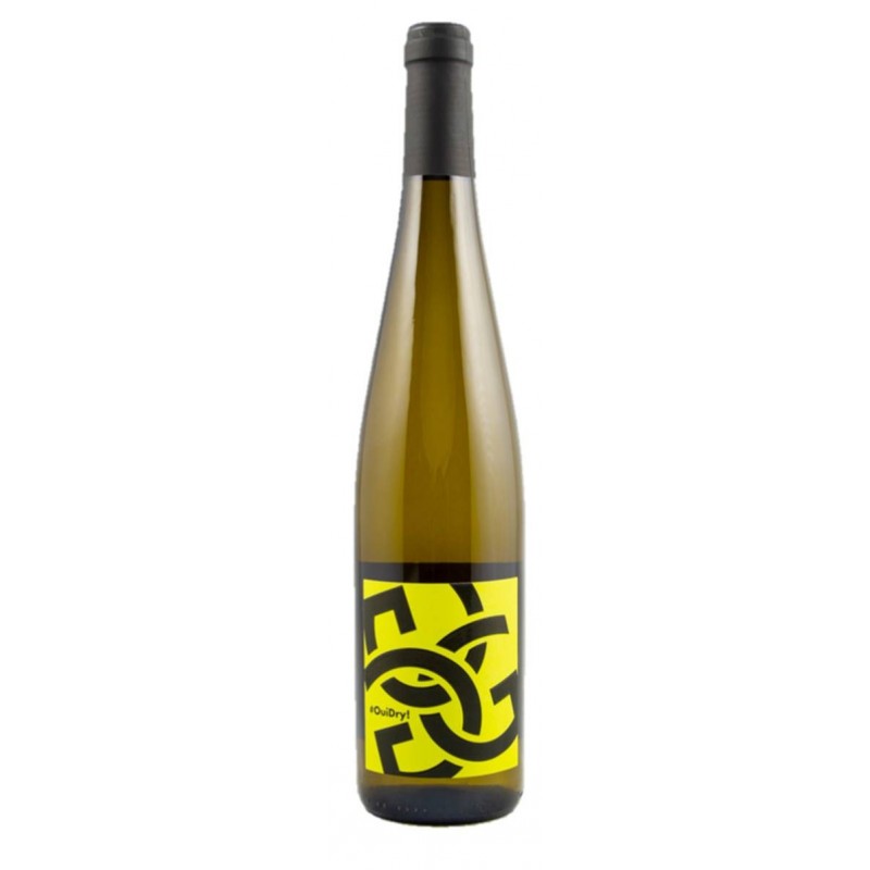 Domaine Paul Ginglinger - Alsace - Oui Dry