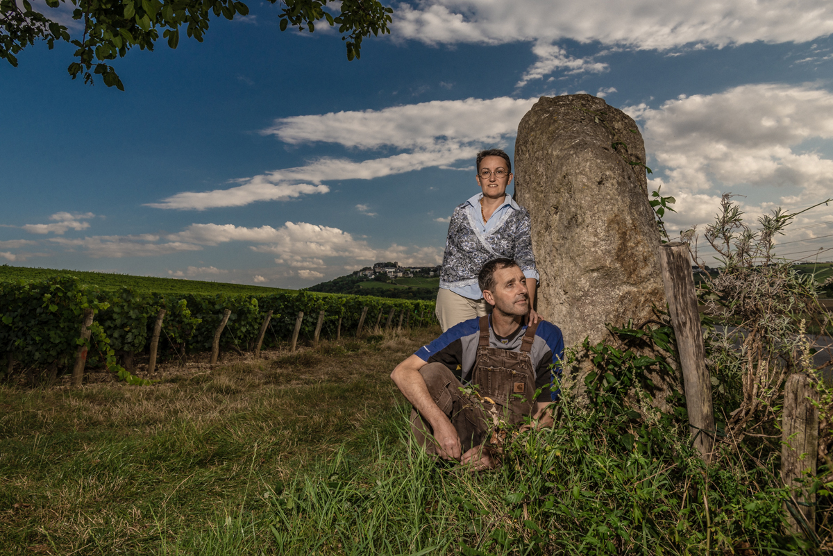 Domaine Vincent Gaudry