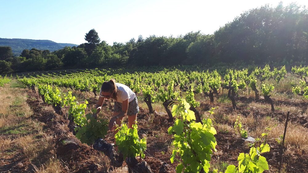 Domaine Hélene Bleuzen