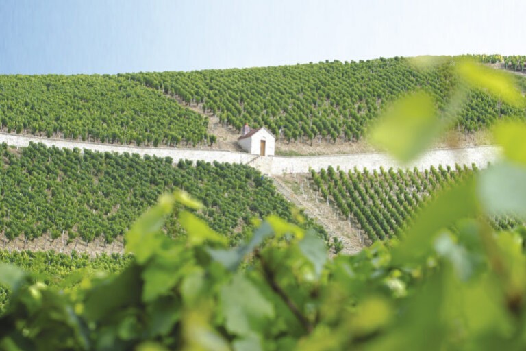 Domaine Chantal Lescure
