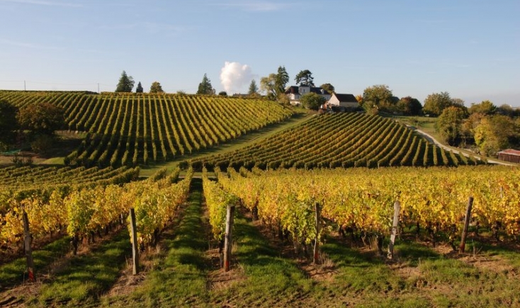 Domaine de la Noblaie