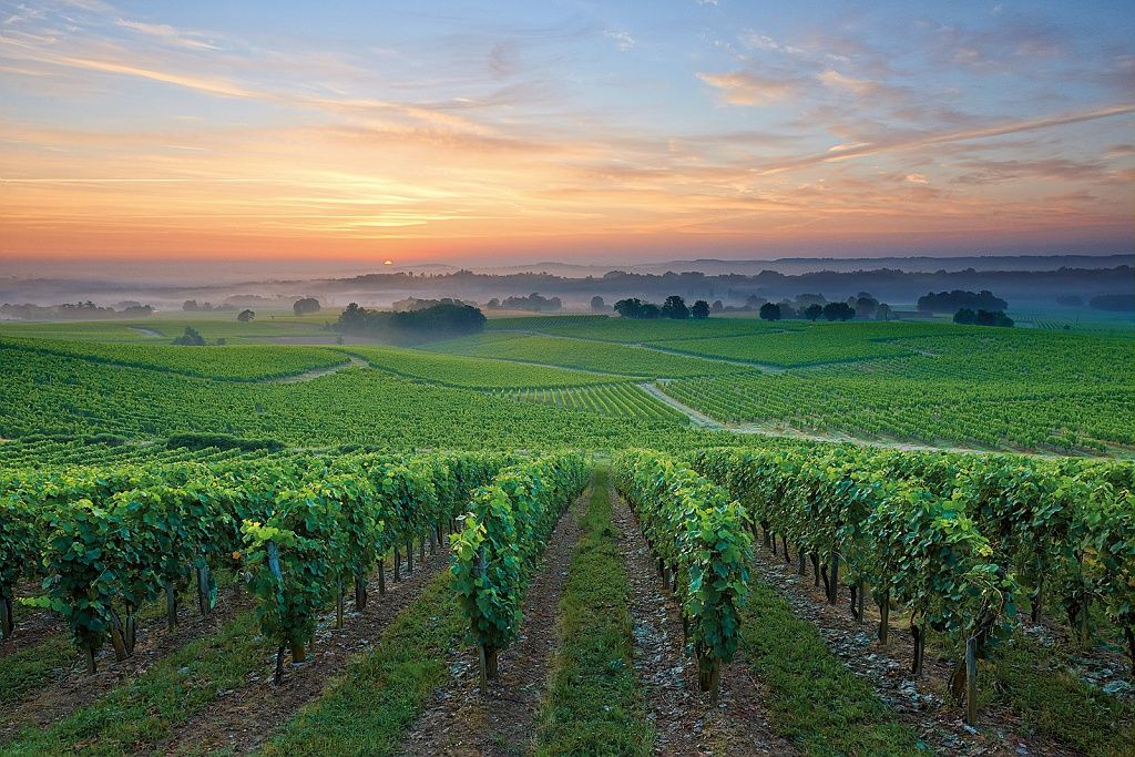 Domaine Laougué