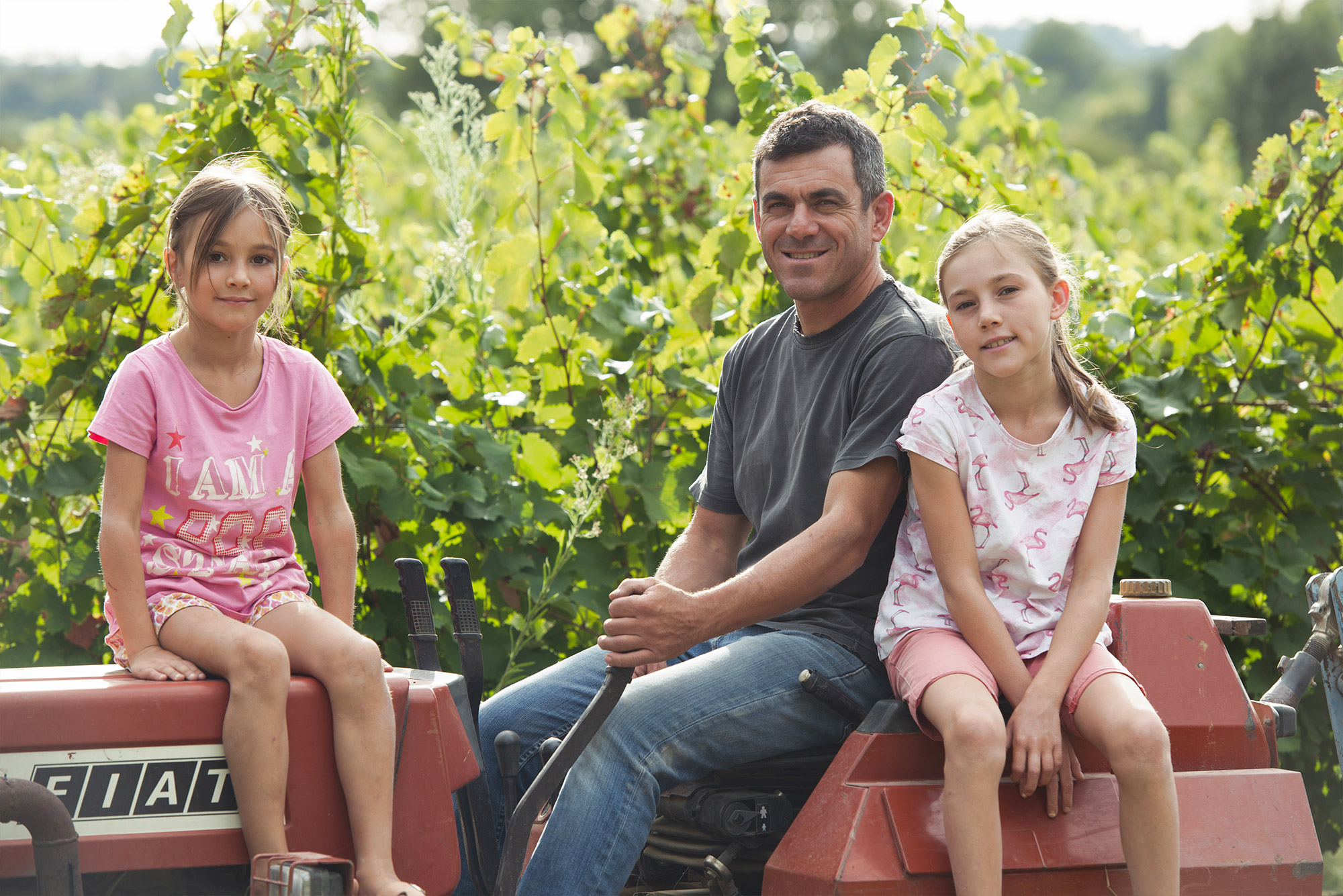 Domaine Pique-Basse