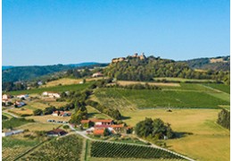 Découverte de vignoble : les Côtes du Forez