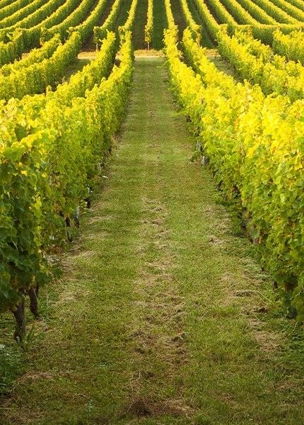 Tarifs directs (430x600)