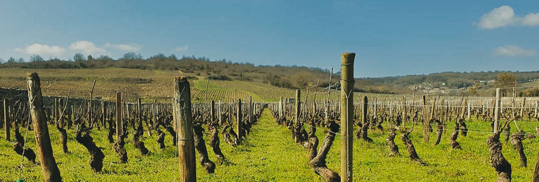 Domaine Desvignes