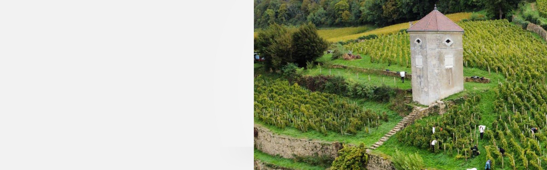 Le Jura au sommet avec le domaine Tissot
