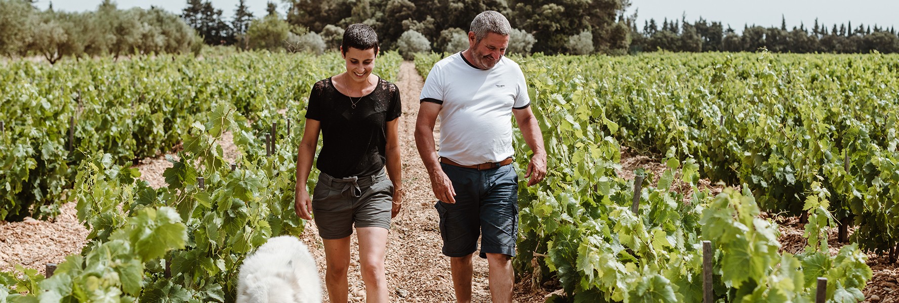 In the heart of Vacqueras, the great Vallée du Rhône