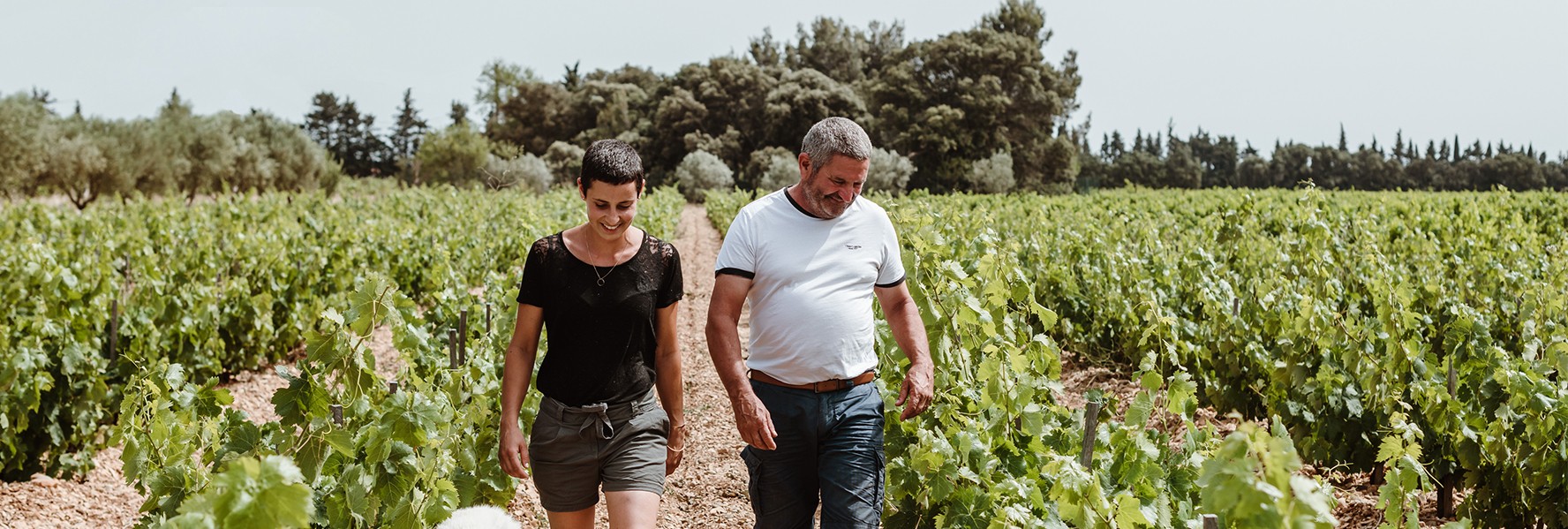 Coup de Cœur à Vacqueras