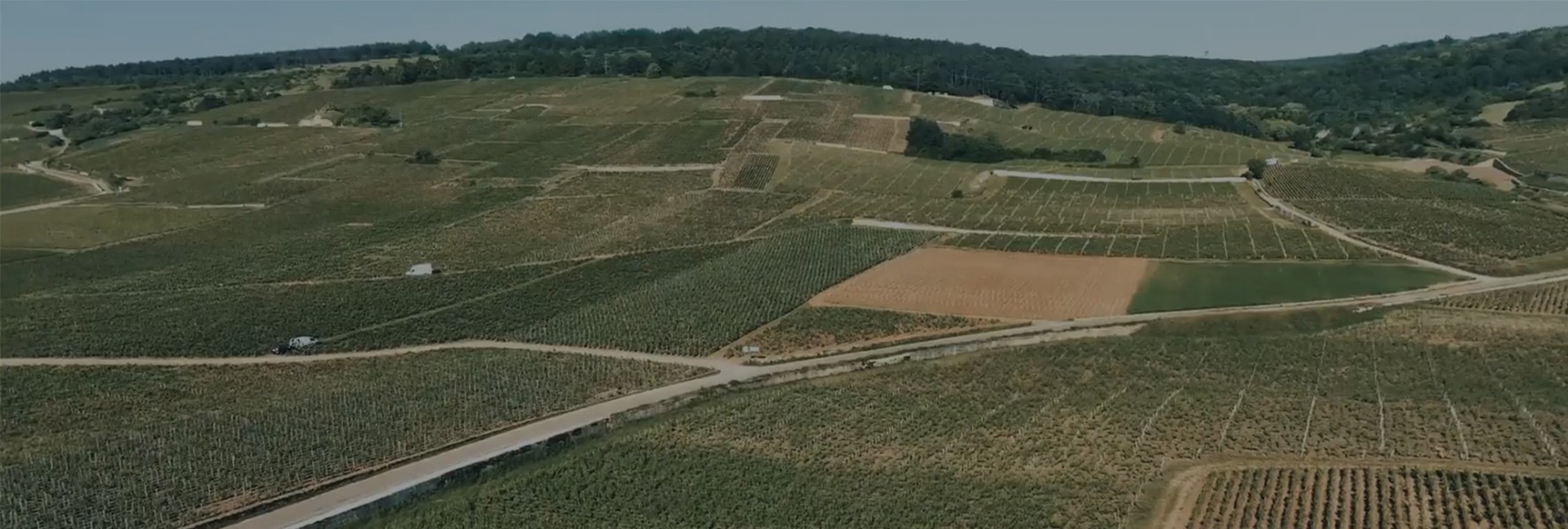 Les Grands Bourgognes du domaine Chantal Lescure